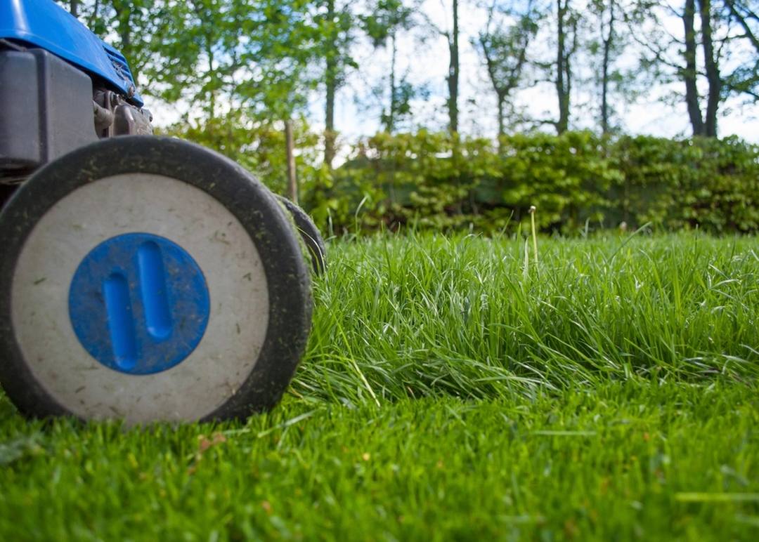 A freshly cut lawn with clean edges